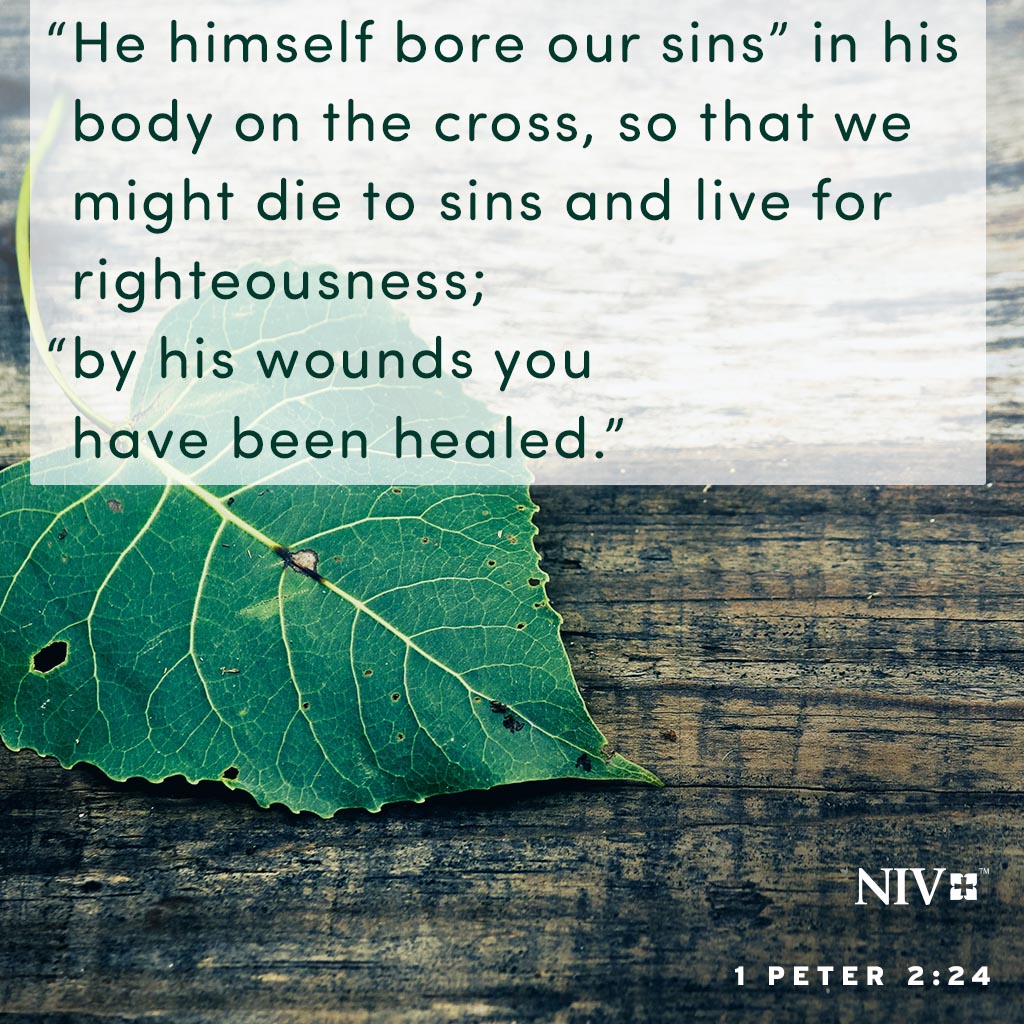 Verse of the Day: 1 Peter 2:24 