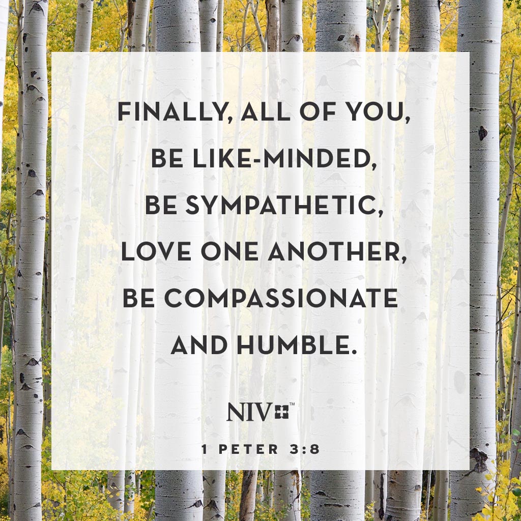 Verse of the Day: 1 Peter 3:8 