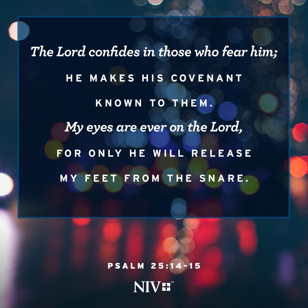 verse-of-the-day