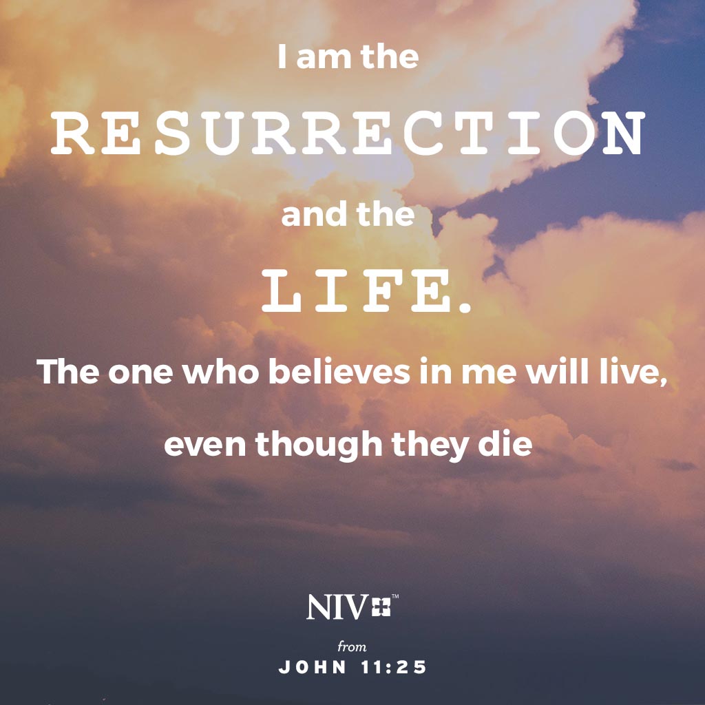 Verse of the Day: John 11:25 